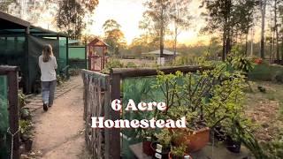 Dreamy Self-Sufficient Rural Homestead | FULL TOUR | South East Queensland, Australia