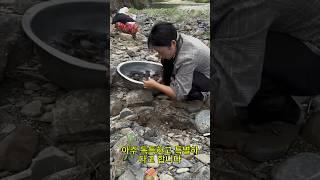 눈꽃 게보다 20배 더 비싼 이 특별한 게