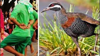 Tikling Bird Folk Dance Tinikling Watch You Feet