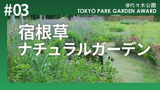 【ナチュラルガーデン】園芸のプロ吉谷桂子さんが厳選したローメンテナンスな宿根草28種！プロのガーデナーに学ぶ！東京パークガーデンアワード 代々木公園　Gardening Natural Garden