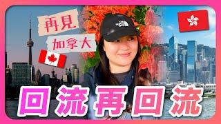 VLOG加拿大｜回流再回流｜回流實況｜回流原因