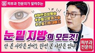 눈밑지방제거의 모든 것! (하안검성형술 vs 눈밑지방제거술 vs 눈밑지방재배치 비교 분석)