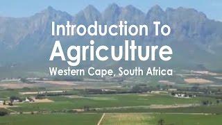 Introduction To Agriculture Western Cape, South Africa