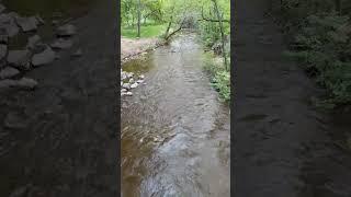 dry river Moskovka, Ukraine Zaporozhye #short#2024