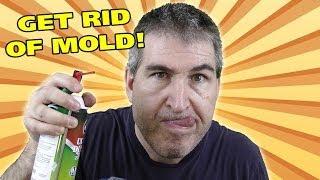 GET RID OF MOLD FAST! - Easy Everyday Solutions