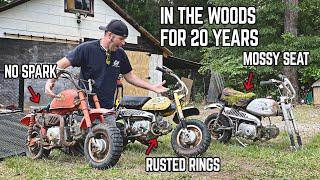 We Bought 8 CHEAP ABANDONED Honda Mini Bikes... Can We Make Them Run & Ride?