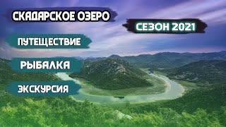 Скадарское озеро, Черногория: уникальное место для любителей природы