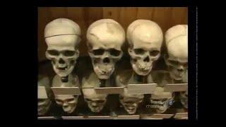 Megastructures HD 2017 -Strange Medical Museum The Mutter Museum