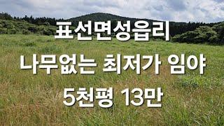 서귀포시 표선면 성읍리 나무없는 최저가 임야 5천평 13만 010 4436 0401 제주도부동산 토지 매매  급매물