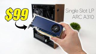 This New Single Slot LP ARC A310 Graphics Card Is Faster Than You Think!