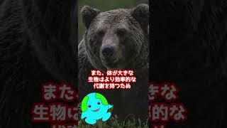 深海生物はなぜ巨大化するのか？ #shorts #生物  #動物