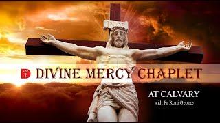 Divine Mercy Chaplet Prayer | Calvary at Divine Retreat Centre Somersby with  Fr Roni George