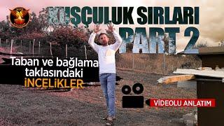 Kuşçuluk Sırları PART 2 / Altın Kanatlar