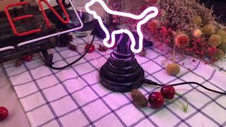 Neon Sign - Table　lighting