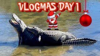SEARCHING for JAWS‼️⁉️‼️VLOGMAS DAY 1