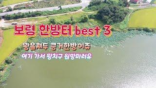 보령권 오짜터 BEST 3 해창지 제민제 용제지