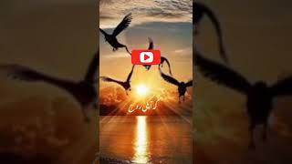 #islamic #short #video