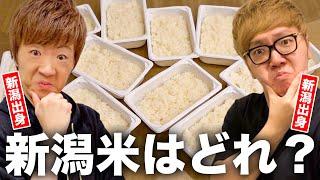【利き米バトル】地元新潟県産のコシヒカリ当てられなかったら新潟県民失格【ヒカキンVSセイキン】