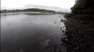 lure fishing menai straits