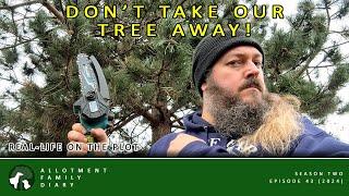 Saving Our Ancient Allotment Tree | Gardening Vlog