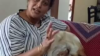 Mona Ambegaonkar speaks about her rescues & pets