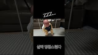 잠깐 설거지하는데 잠자는 아기 #shorts