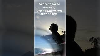 БЛАГОДАРЮ ЗА ТИШИНУ