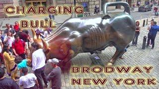 Charging Bull (Wall Street Bull) - New York, Manhattan 4K