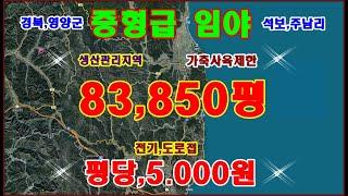 중형급 임야 매매,83.850평 준보전산지.1만평 이상 포함, 평당,5.000원에 매매합니다,전기,도로,임업용산지,농림,생산관리지역 입니다 경북 영양군에 위치한 중형급 임야 입니다