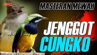 KOMBINASI MASTERAN JENGGOT VS CUNGKO