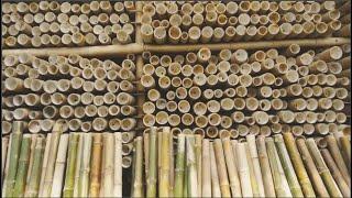 How Bamboo Products Are Made: From Planting Bamboo to the production line for Bamboo Knot Skewers