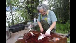 Klukwan, Alaska - Salmon Heart Still Beats - a CaravanGypsy Video