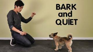 Teach Dog to Stop Barking - Bark and Quiet on Cue