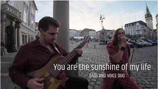 You are the sunshine of my life - Alice Hamplová