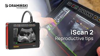 Tips for using ultrasound scanner for cow reproduction – with iScan 2