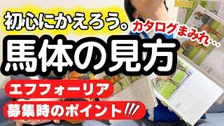 【競馬】【一口馬主】初心者編 馬体の見方！キャロット活躍馬と未勝利馬を比較してみた！