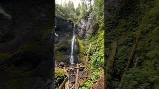 Marymere Falls at Lake Crescent.🩵 Olympic National Park