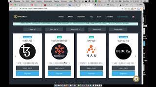 How to Participate in an ICO (ERC20 Token Platform)