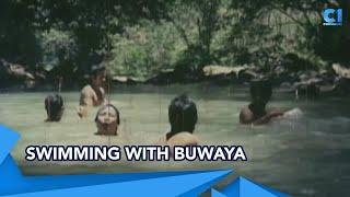 Swimming with buwaya | Matatalim Na Pangil Sa Gubat | Cinemaone