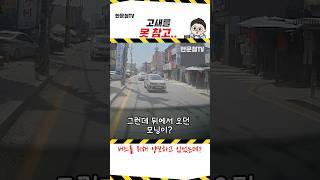 #2094. 참을성 없는 모닝 #shorts