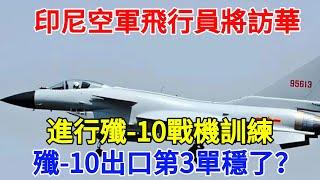 印尼空軍飛行員將訪華，進行殲-10戰機訓練，殲-10出口第3單穩了？#近代歷史 #背后的故事 #纪实 #情感