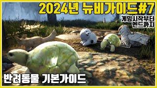 Newbie Guide #7_From the beginning of the game to the end [Pet Basic Guide] #2024 Latest Edition#BDO