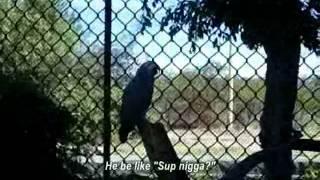 At the Guadalajara Zoo!