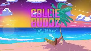 Collie Buddz - Money Up (ft. Keznamdi)