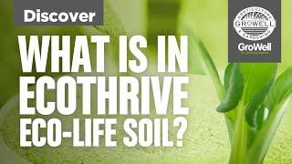 What's in Eco-Life Soil? ft. Gareth & Ben from Ecothrive & Indoor Organics | DISCOVER