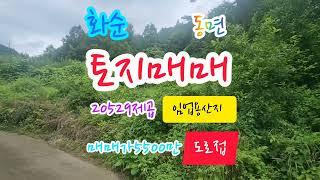 화순부동산, 광주20분거리, 토지20529제곱, 매매가5500만, 농림지역, 임야, 화순토지, 도로접, 계곡, 화순임업용산지, 화순산림조합원, 광주근교, 화순공인중개사