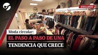 La vuelta de Feria Americana, ropa de segunda o reutilización. MODA CIRCULAR: ¿Por qué crece?