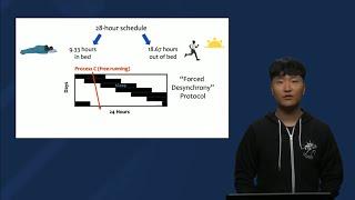 Exploring Processes C and S Part 2: Forced Desynchrony