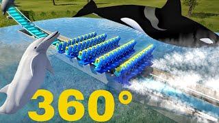 360° SPLASH Dolphin VR Rollercoaster (3D top/bottom stereoscopic) 360 도 롤러코스터 ジェットコースター