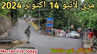 murree live today | #murree weather today | nathia gali today | murree snowfall update #2024